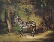 George Stubbs Horse oil on canvas